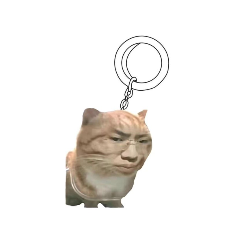 听泉猫摇头摆件桌面车载钥匙挂新鲜哥表情包鉴宝猫摆件电池摇头款
