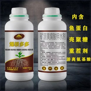 厂家升级爆根多多鱼蛋白强生新根根多根旺再生生根营养液