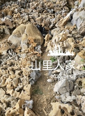 太湖石观赏摆件石英石墨石玲珑石盆景附精品奇石天然头02