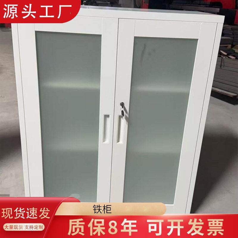 厂家供应带锁铁柜公室文件资料分类铁皮柜磨砂亚克力文件柜衣柜