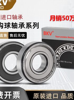 德国进口BKV轴承大全6403/6404电机6405/6406/6407/6408/6409Z/RS