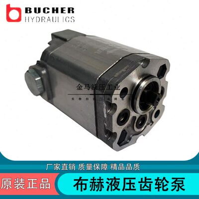 齿轮泵AP100-1.2/1.7/2.5/3.5/4.3/5/6.5/8/10德国布赫BUCHER油泵