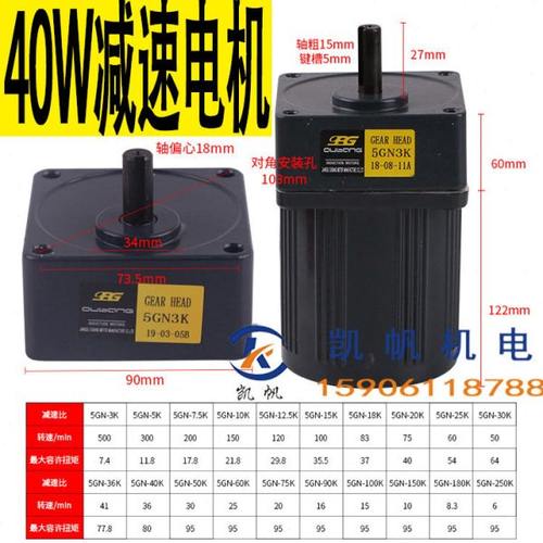 OPG40W齿轮减速电机5IK40GN-C减速机小型电机带减速箱220V慢电机