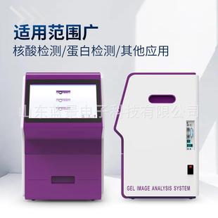 仪器检测系统多功能化学发光成像系统多功能荧光化学发光成像系