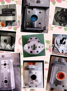 齿轮泵CBW-F306/310/314/316/320/325型拍时确定键型左右旋 台