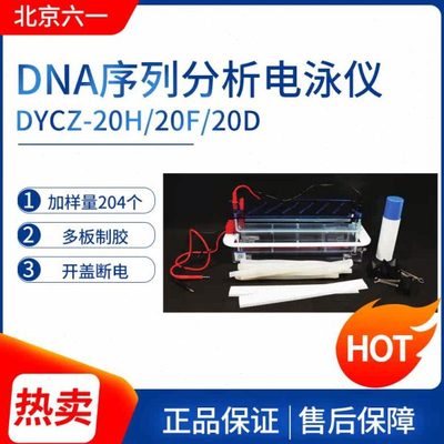 北京六一DYCZ-20H/20F/20D型DNA序列分析电泳仪（槽）