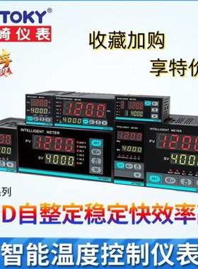 东崎仪表TE8-RC10W TE8-SC10W TE8-DC10W TE8-RC18W TE8-DC18W