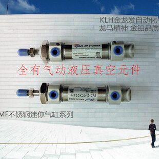 MF20X90X100X110X120X125X130X140X150X160X175-S-CM不锈钢迷你缸