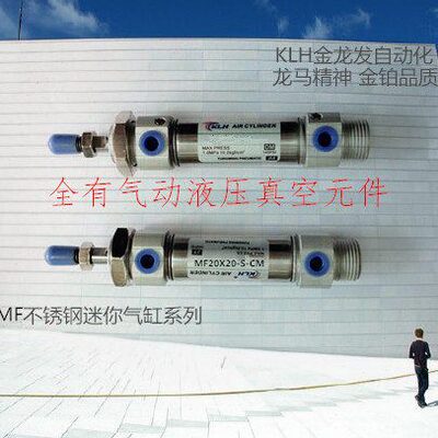 MF20X90X100X110X120X125X130X140X150X160X175-S-CM不锈钢迷你缸