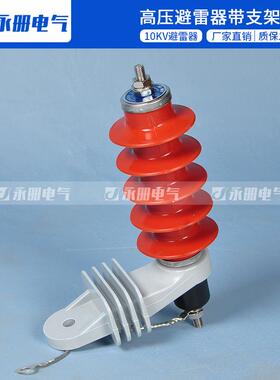 10KV脱挂型高压氧化锌避雷器HY5WS-17/50L带安装支架带脱离器