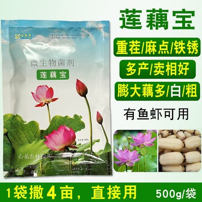 莲藕宝莲藕菌种专用白粗膨大素叶面肥底肥em菌种少麻点铁锈益富源