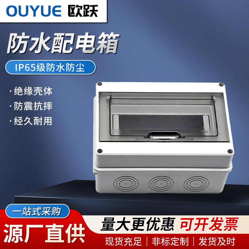 厂家配电箱型号齐全绝缘壳体IP65级防水配电箱