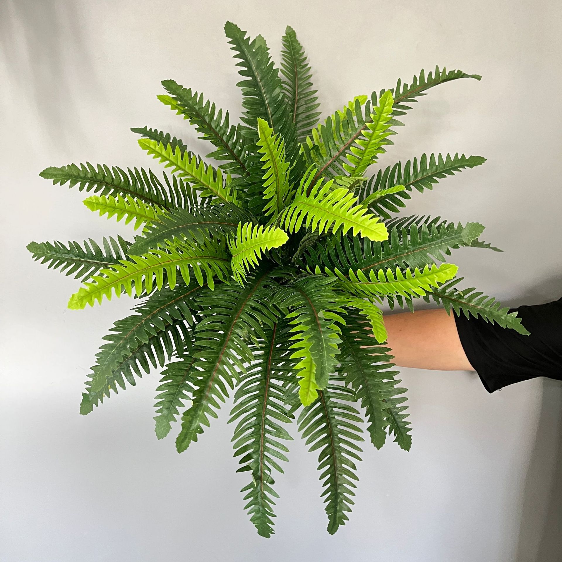 厂家现货 仿真植物波斯草 38叶加密蜈蚣草 花艺软装蕨类绿植
