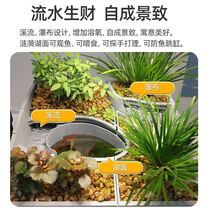 上部沼泽过滤桌面生态自循环办公桌书桌水培植物微景观造景小鱼缸