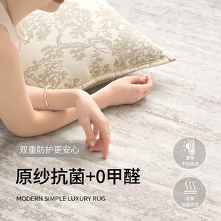 免洗可擦现代简约灰色轻奢高级沙发家用地垫防水 地毯客厅2025新款