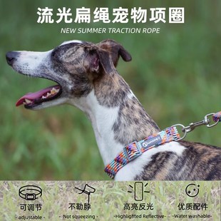 杰克罗素梗专用项圈牵引绳宠物遛狗狗绳大型中型小型犬狗链子脖圈