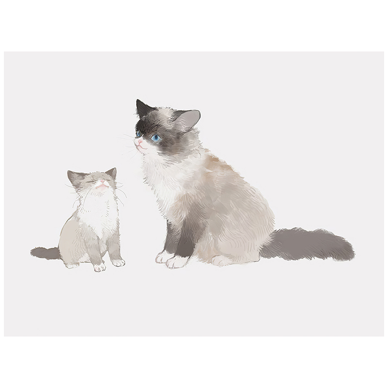 现代简约水彩猫咪伯曼猫母子客厅房间卧室挂画壁画无框画装饰画图片