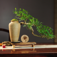 六月雪盆景老樁創(chuàng)意懸崖造型植物擺件中式茶室陽臺綠植花卉盆栽