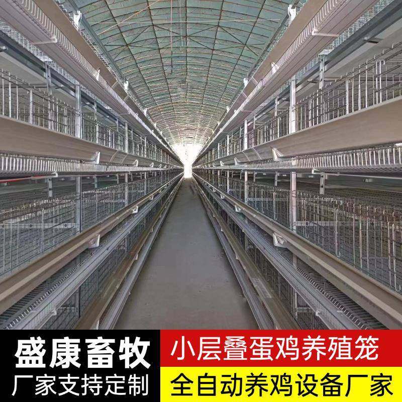 全自动小叠蛋鸡笼养鸡养殖设备自动化集蛋养殖笼具热镀锌蛋鸡笼,畜牧/养殖物资,特种养殖设备,淘宝优惠券,粉丝福利购,淘宝优惠卷