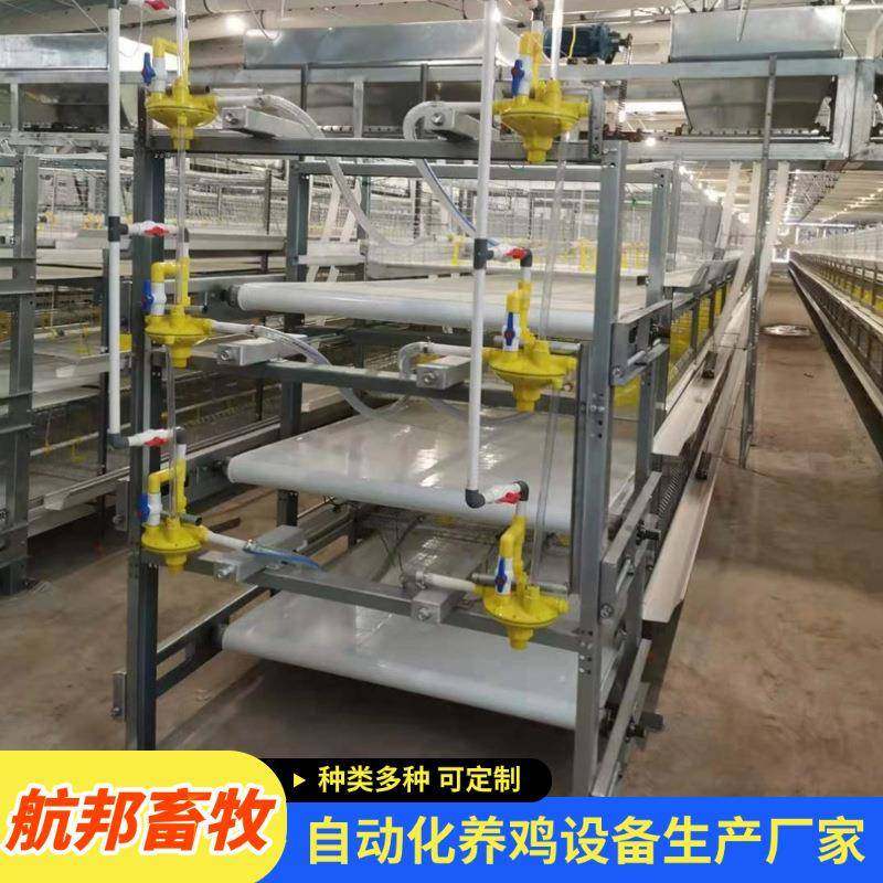 厂家供应全自动肉鸡笼框架肉鸡笼自动化清粪捡蛋养鸡养殖设备,畜牧/养殖物资,特种养殖设备,淘宝优惠券,粉丝福利购,淘宝优惠卷