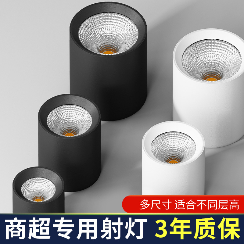 大功率商用吸顶明装射灯20W/30W