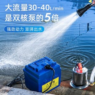 潜水泵家用抽水浇菜12v24v大功率花园便携式 充电式 户外抽水泵