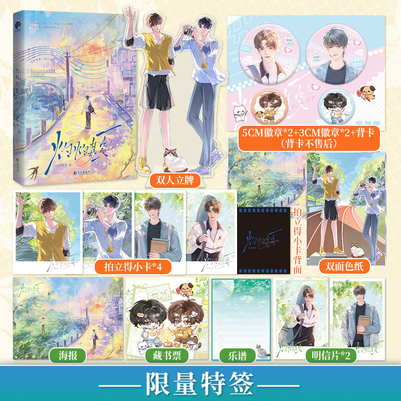 限量特签，灼灼其夏（晋江高人气作者九月草莓治愈温暖代表作，原名《永恒少年综合征》