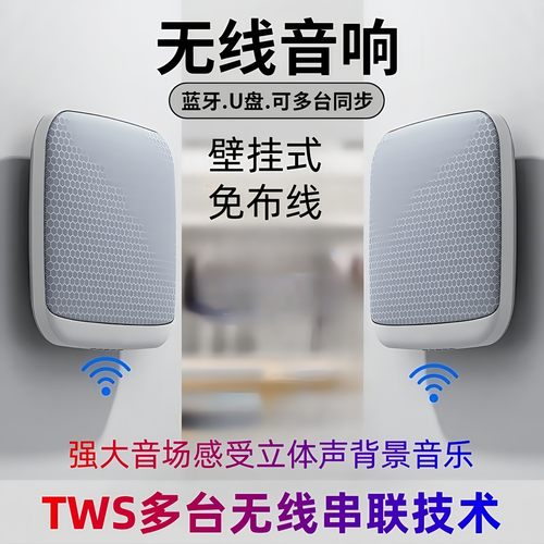 索丽其壁挂式会议广播蓝牙音箱