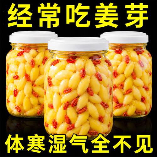 正宗淄博人参枸杞泡嫩姜芽下饭菜