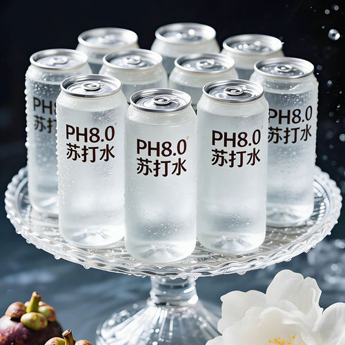 天然苏打水整箱12瓶无糖精零脂