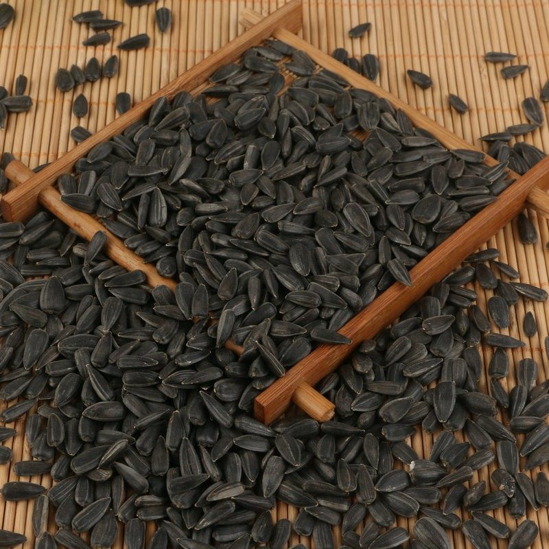 油葵小瓜子鸟粮油葵籽鹦鹉鸟食仓鼠粮鸟粮鸽粮铜嘴粮鸟料5斤包邮,宠物/宠物食品及用品,鸟食,淘宝优惠券,粉丝福利购,淘宝优惠卷