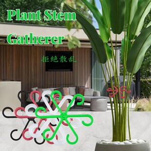 龟背竹支撑杆防倒伏春雨支架固定器绿植物水培枝干花盆架园艺花卉