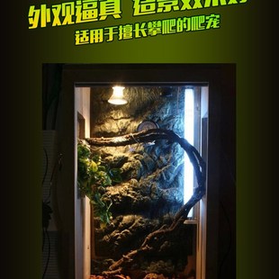 树藤藤条爬虫箱造景用树藤变色龙蜥蜴蛇寄居蟹攀爬沉木杜鹃木树枝