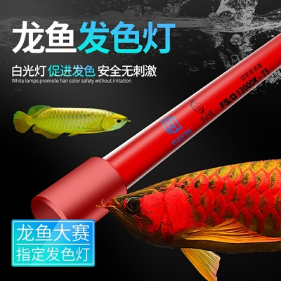 马印龙鱼专用发色灯增色三基色鱼缸灯红龙金龙鱼灯潜水灯烤色nec