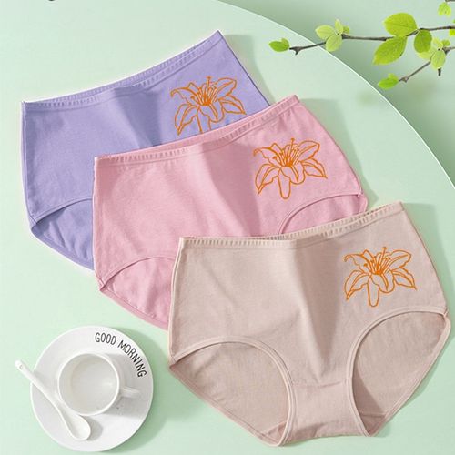 4条女士内裤中高腰纯棉裆全棉质面料性感无痕少女大码三角裤头胖M