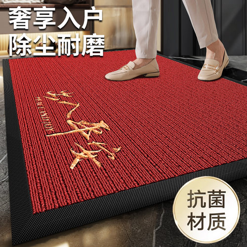高品质入户门地垫家用门口地毯可定制门垫大门口脚垫门外免洗垫子