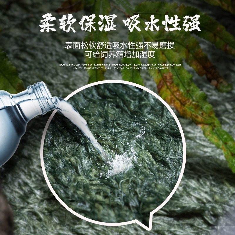 角蛙垫材莫斯地毯爬宠饲养盒保湿莫丝地垫两栖爬虫乌龟雨林缸造景,宠物/宠物食品及用品,爬宠垫料,淘宝优惠券,粉丝福利购,淘宝优惠卷