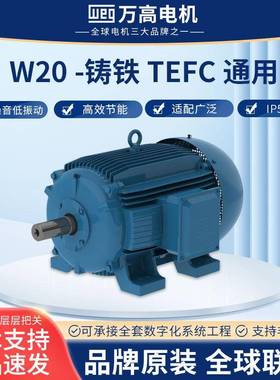 巴西万高W20 -铸铁TEFC通用三相中低压异步电机立式卧式直流电机
