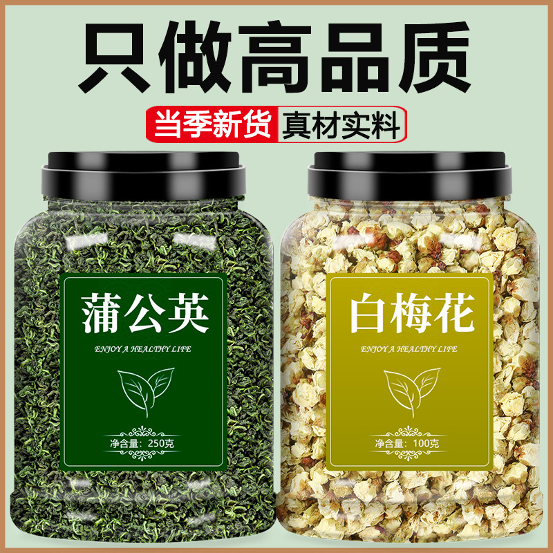 蒲公英和白梅花中药材茶野图片
