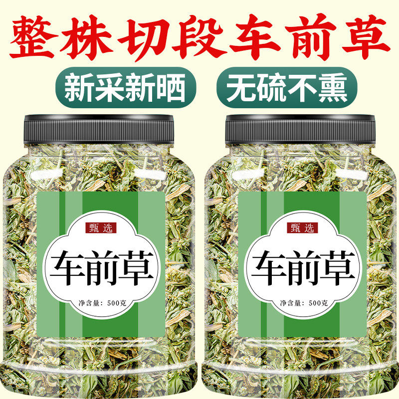 珍纪堂车前草野生干货官方旗舰店中药材正品新鲜泡茶泡水喝,传统滋补营养品,其他药食同源食品,淘宝优惠券,粉丝福利购,淘宝优惠卷