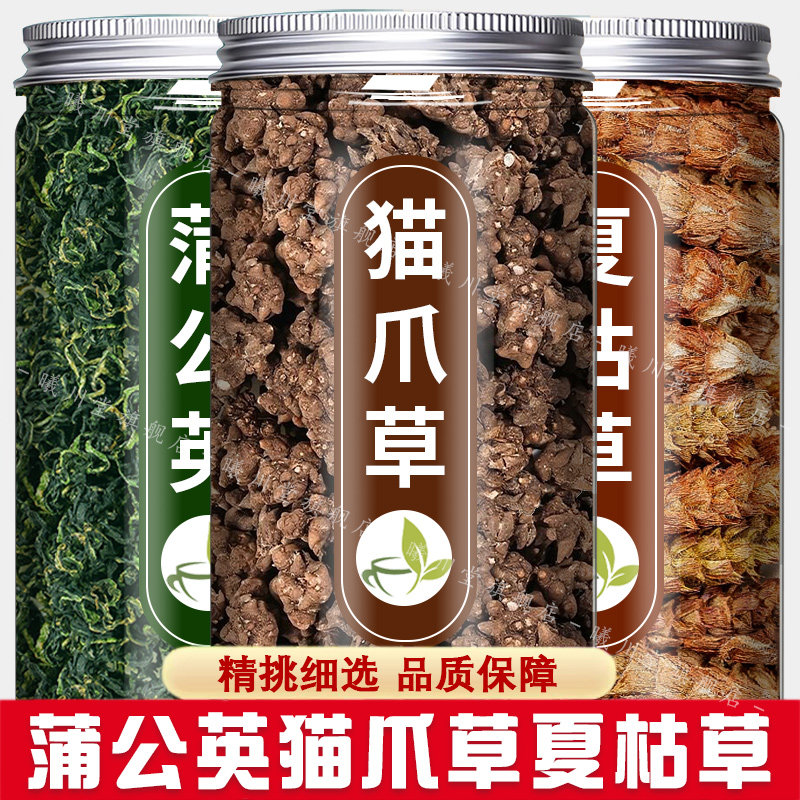 猫爪草夏枯蒲公英茶散结中图片