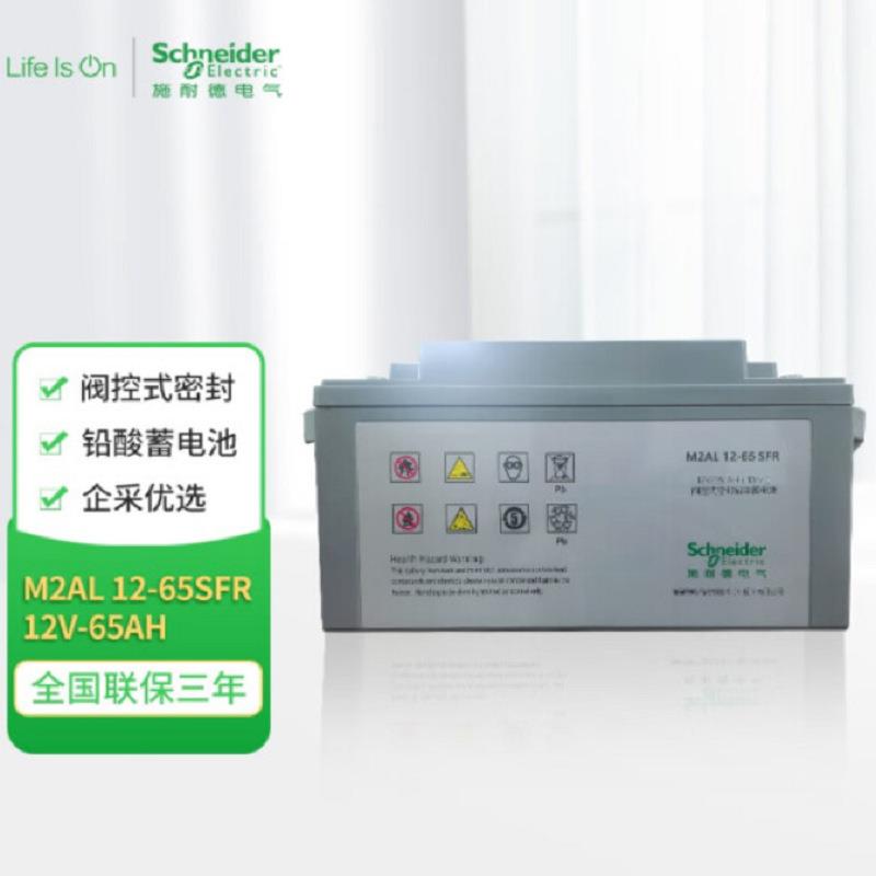 APC梅兰日兰蓄电池M2AL12-65SFR铅酸免维护12V65AH BATT1265MGE