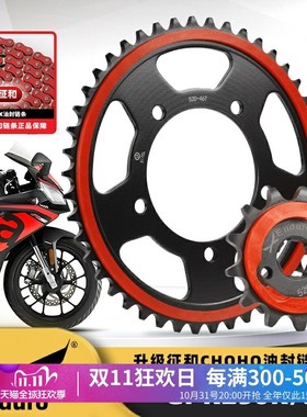 适阿普利亚GPR250R GPR250S改装静音牙盘链轮三件套征和油封链条