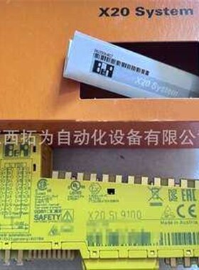 X20SI9100#贝加莱B&R模块