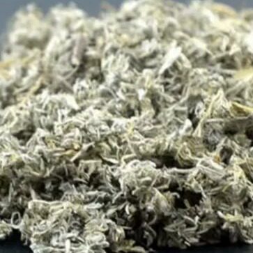 甘肃天水春季野菜干茵陈蒿干白蒿凉拌菜新鲜现挖现发