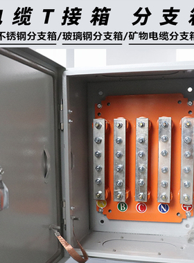 电缆t接箱低压分支铜排bttrz矿物质绝缘分线转接换不锈钢玻璃钢箱