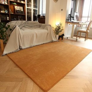 纯色地毯客厅卧室床边毯高级轻奢家用飘窗加密仿羊绒沙发茶几地垫
