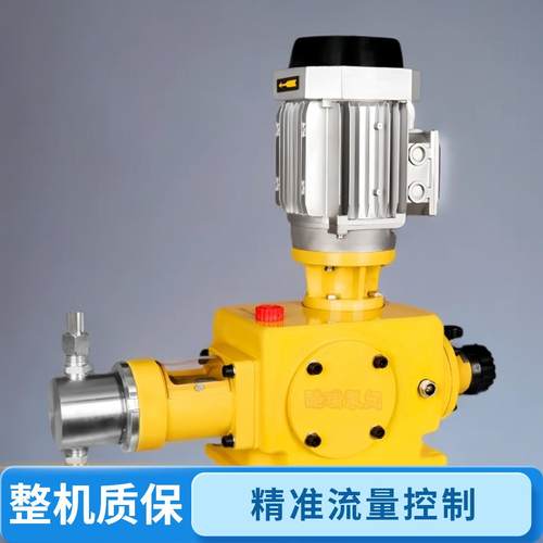 低噪音柱塞式计量泵DZ-Z流量可调加药泵DZ-X不锈钢计量泵