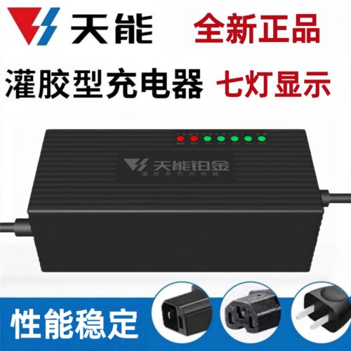 天能电动车电三轮车灌胶型充电器