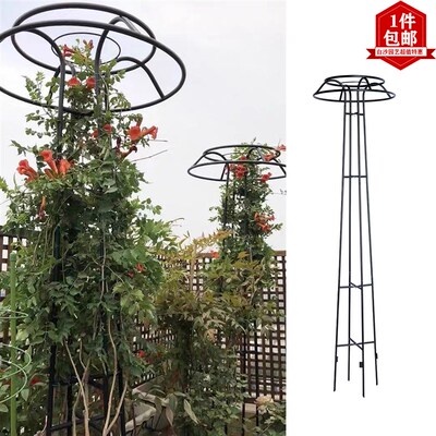 蘑菇爬藤架园艺花架庭院花园伞型铁艺爬藤花架铁线莲蓝雪花素馨花